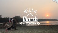 Permalink to Hello March…